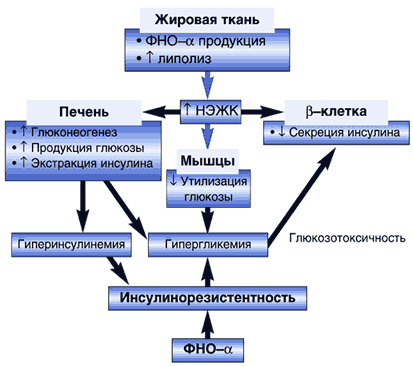http://www.rmj.ru/data/articles/Image/t11/n27/p1478.gif