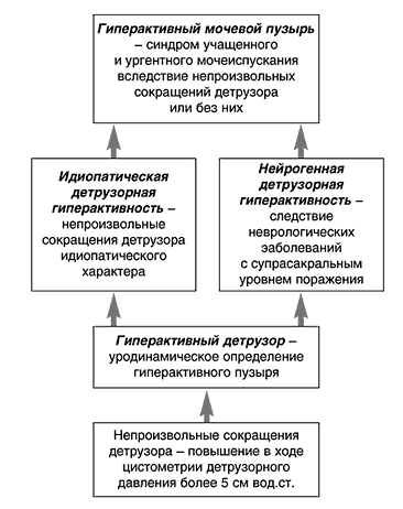 http://www.rmj.ru/data/articles/Image/t12/n8/p522.gif