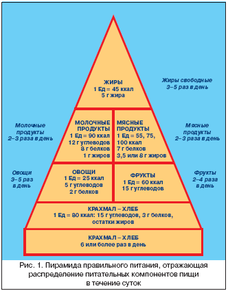 Рис. 1. Пирамида правильного питания, отражающая распределение питательных компонентов пищи в течение суток