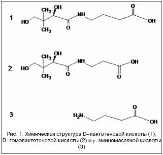 Рис. 1. Химическая структура D–пантотеновой кислоты (1), D–гомопантотеновой кислоты (2) и γ–аминомасляной кислоты (3)