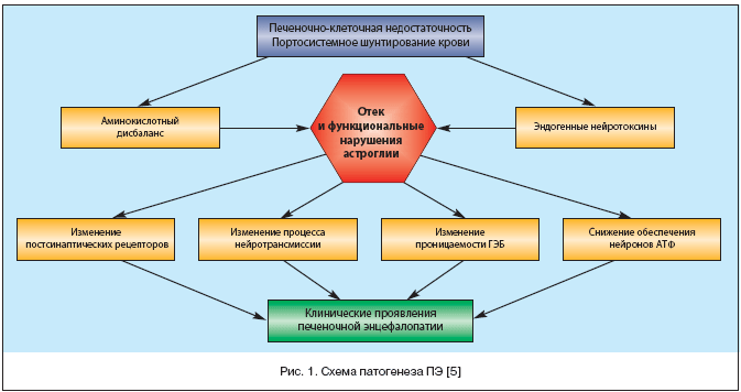Рис. 1. Схема патогенеза ПЭ [5]