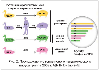 Рис. 2. Происхождение генов нового пандемического вируса гриппа 2009 г. А(Н1N1)v [по 3–5]