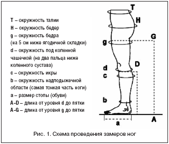 Рис. 1. Схема проведения замеров ног