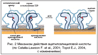 Рис. 2 Механизм действия ацетилсалициловой кислоты (по Catella-Lawson F. et al., 2001; Topol E.J., 2004, с изменениями)