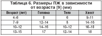 Таблица 6. Размеры ПЖ в зависимости от возраста [9] (мм)