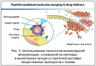 Рис. 3. Использование технологии молекулярной визуализации, основанной на пептидах, в мониторинге процесса таргетной доставки лекарственных препаратов к тканям