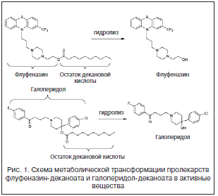 Рис. 1. Схема метаболической трансформации пролекарств флуфеназин-деканоата и галоперидол-деканоата в активные вещества