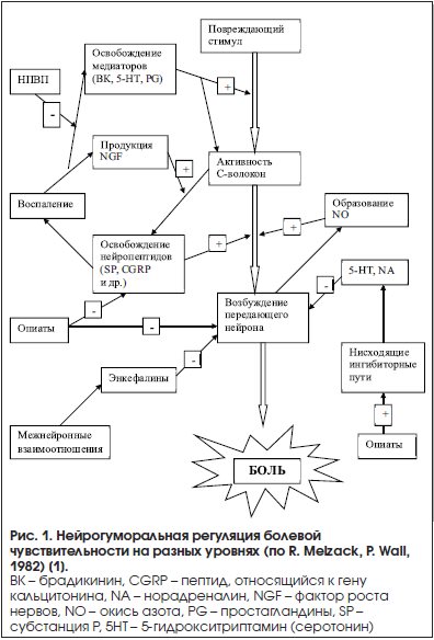 Рис. 1. Нейрогуморальная регуляция болевой чувствительности на разных уровнях (по R. Melzack, P. Wall, 1982) [1].