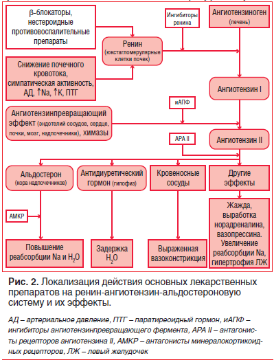 Рис. 2. Локализация действия основных лекарственных препаратов на ренин-ангиотензин-альдостероновую систему и их эффекты.