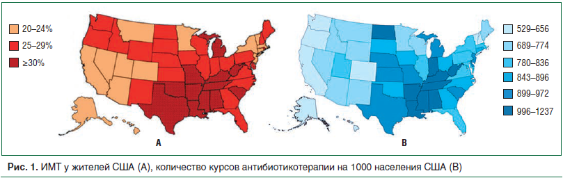 Рис. 1. ИМТ у жителей США (А), количество курсов антибиотикотерапии на 1000 населения США (В)