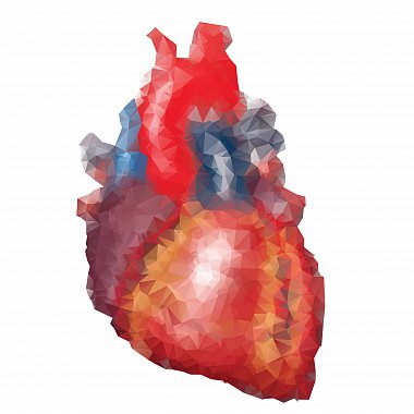 Особенности гепатокардиальных взаимоотношений у пациентов с хронической сердечной недостаточностью и нарушениями углеводного обмена: возможности дополнительной терапии