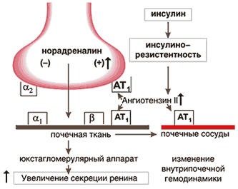 http://www.rmj.ru/data/articles/Image/t10/n11/p4872.gif