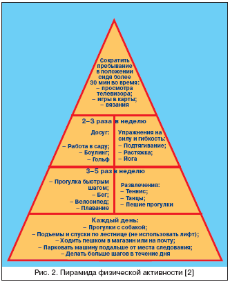 Рис. 2. Пирамида физической активности [2]