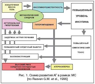 Рис. 1. Схема развития АГ в рамках МС [по Reaven G.M. et al., 1996]