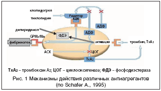 Рис. 1 Механизмы действия различных антиагрегантов (по Schafer A., 1995)