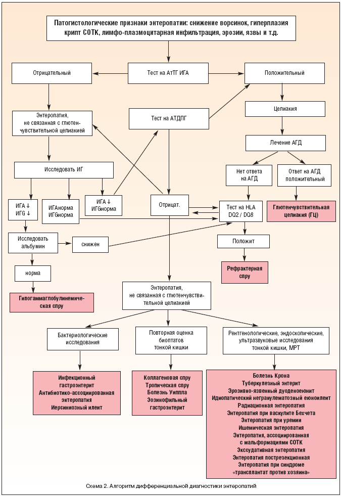 Схема 2. Алгоритм дифференциальной диагностики энтеропатий