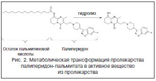 Рис. 2. Метаболическая трансформация пролекарства палиперидон-пальмитата в активное вещество из пролекарства