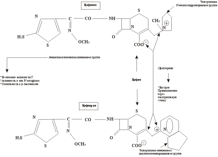 Рис. Химическая структура цефепима и цефпирома