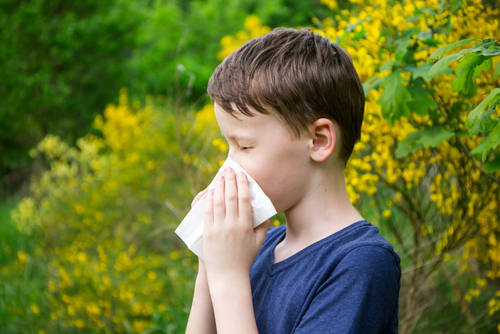 Аллергический ринит: подходы к диагностике и лечению