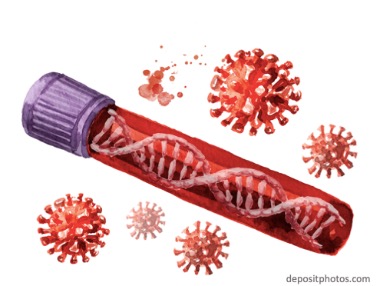 Биологи выделили пять белков коронавируса, отвечающих за «взлом» клеточных систем. Рис. №1