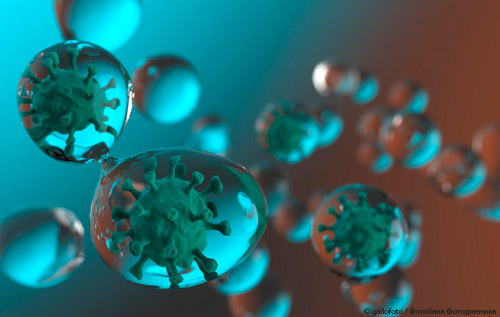 SARS-CоV-2: что позволило вирусу вызвать длительную пандемию?