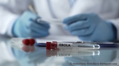 Вспышка вируса Эбола. Рис. №1