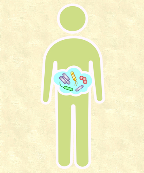 Связь состояния кишечной микробиоты с заболеваниями человека и трансплантация микробиоты как способ восстановления ее нормального состава