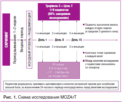 Рис. 1. Схема исследования MOZArT