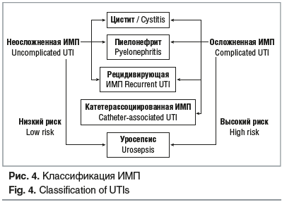 Рис. 4. Классификация ИМП Fig. 4. Classification of UTIs
