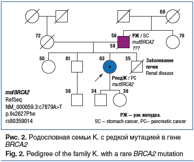 Рис. 2. Родословная семьи К. с редкой мутацией в гене BRCA2 Fig. 2. Pedigree of the family K. with a rare BRCA2 mutation