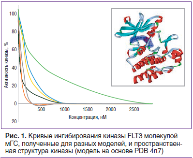 Рис. 1. Кривые ингибирования киназы FLT3 молекулой мГС, полученные для разных моделей, и пространственная структура киназы (модель на основе PDB 4rt7)