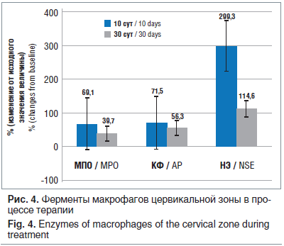 Рис. 4. Ферменты макрофагов цервикальной зоны в про- цессе терапии Fig. 4. Enzymes of macrophages of the cervical zone during treatment