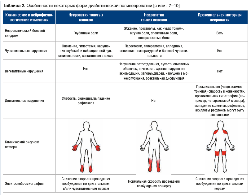 Таблица 2. Особенности некоторых форм диабетической полиневропатии [с изм., 7–10]