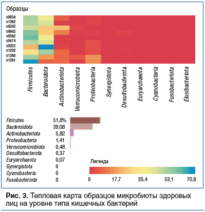 Рис. 3. Тепловая карта образцов микробиоты здоровых лиц на уровне типа кишечных бактерий