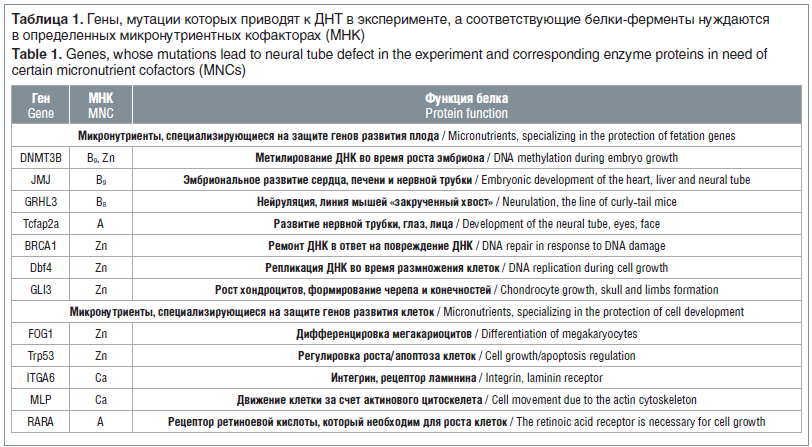 Таблица 1. Гены, мутации которых приводят к ДНТ в эксперименте, а соответствующие белки-ферменты нуждаются в определенных микронутриентных кофакторах (МНК)