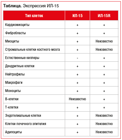 Таблица. Экспрессия ИЛ-15