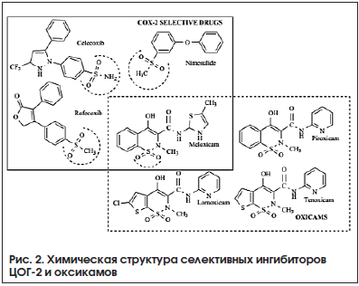 Рис. 2. Химическая структура селективных ингибиторов ЦОГ-2 и оксикамов