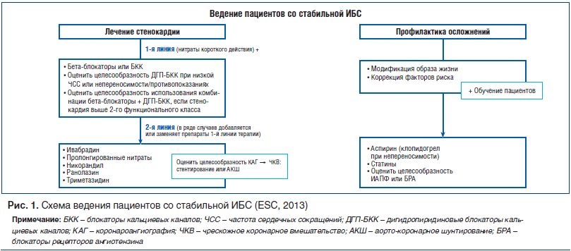 Рис. 1. Схема ведения пациентов со стабильной ИБС (ESC, 2013)
