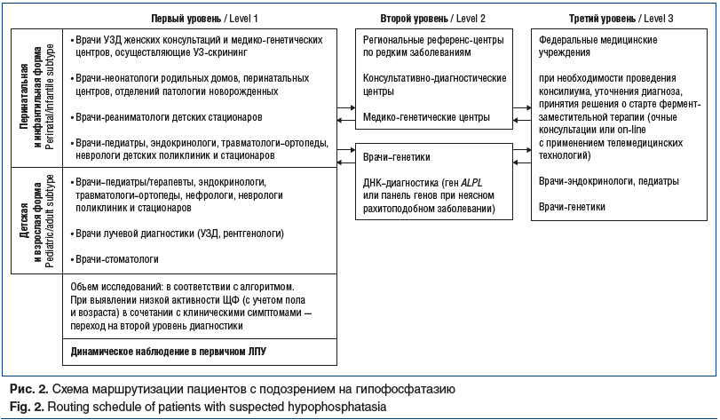 Рис. 2. Схема маршрутизации пациентов с подозрением на гипофосфатазию Fig. 2. Routing schedule of patients with suspected hypophosphatasia