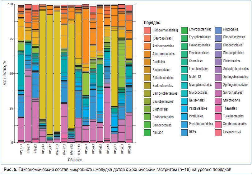 Рис. 5. Таксономический состав микробиоты желудка детей с хроническим гастритом (n=16) на уровне порядков