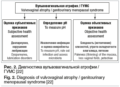Рис. 2. Диагностика вульвовагинальной атрофии / ГУМС [22] Fig. 2. Diagnosis of vulvovaginal atrophy / genitourinary menopausal syndrome [22]
