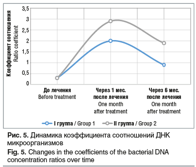 Рис. 5. Динамика коэффициента соотношений ДНК микроорганизмов Fig. 5. Changes in the coefficients of the bacterial DNA concentration ratios over time