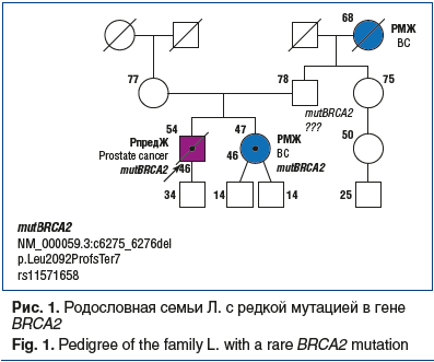 Рис. 1. Родословная семьи Л. c редкой мутацией в гене BRCA2 Fig. 1. Pedigree of the family L. with a rare BRCA2 mutation