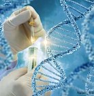 Российские ученые впервые определили генетический механизм возникновения ск...