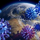 География распространения новых штаммов коронавируса за неделю расширилась