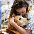 Собаки помогут итальянским онкобольным справляться с тяготами лечения и вос...