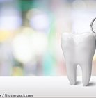 Специалисты рекомендуют посещать стоматолога один раз в два года