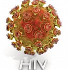 В Нидерландах обнаружили новый штамм ВИЧ