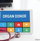 Среднее ожидание донорских органов в Москве на данный момент составляет 2-3...